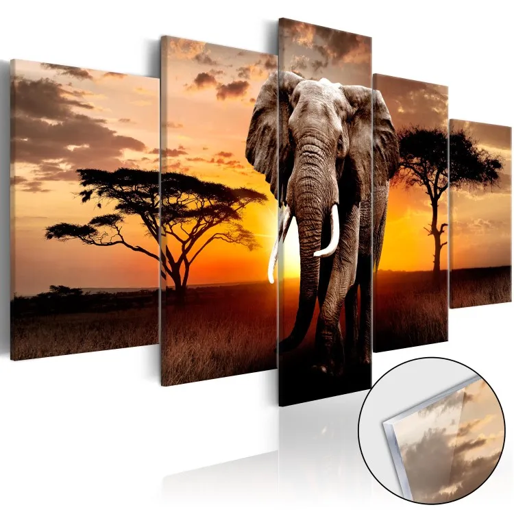 El elefante errante