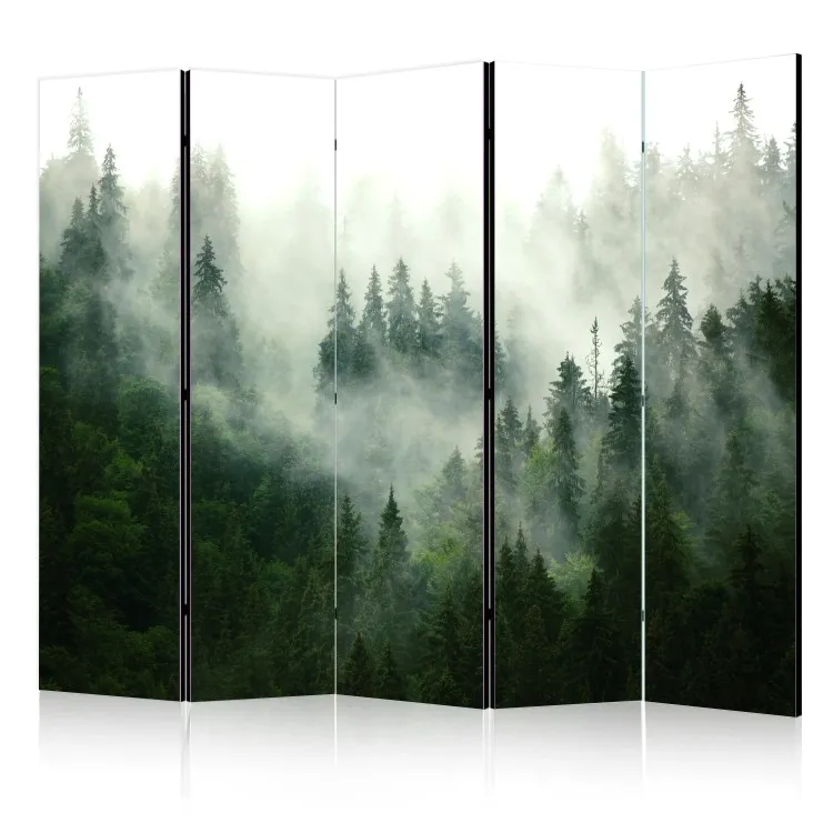 Bosque de coníferas II - paisaje de bosque de coníferas con niebla