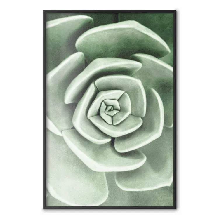 Bella suculenta - composición vegetal escandinava