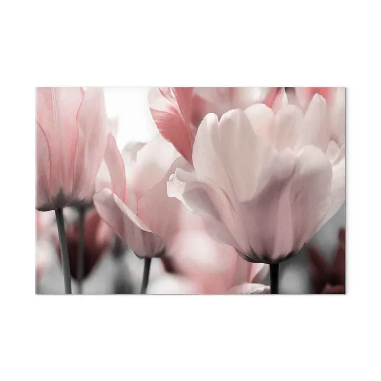 Pétalos de primavera (1 pieza) - tulipán rosa en tonos pastel