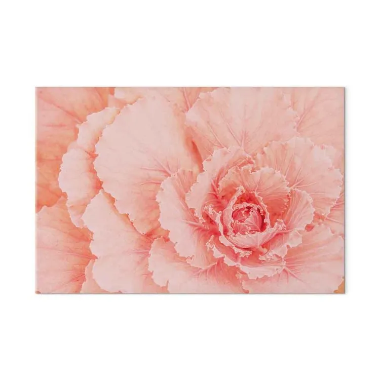 Flor delicada - una planta sutil de color rosa natural.