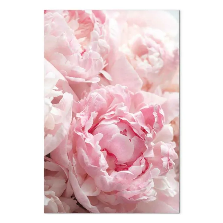 Florecer en tonos naturales (1 parte) - peonía rosa en matices rosados