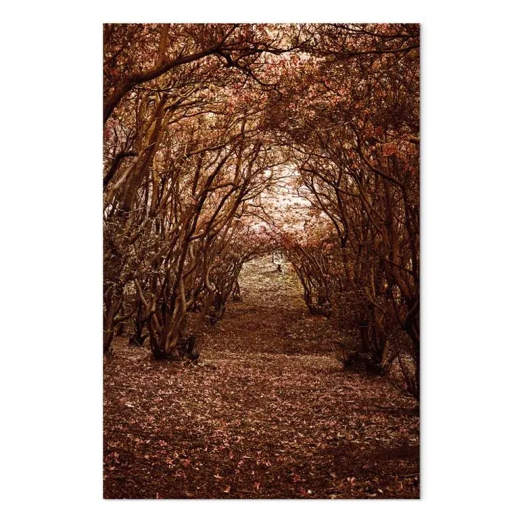 Corredor de árboles - paisaje otoñal de un camino en un bosque