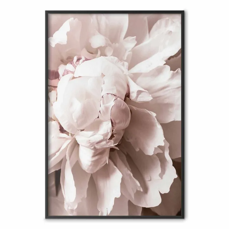 Delicadeza rítmica - flores rosadas en una composición natural