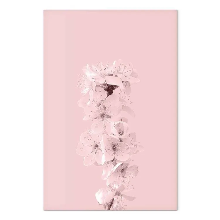 Rama primaveral llena de flores de manzano - composición vegetal rosa
