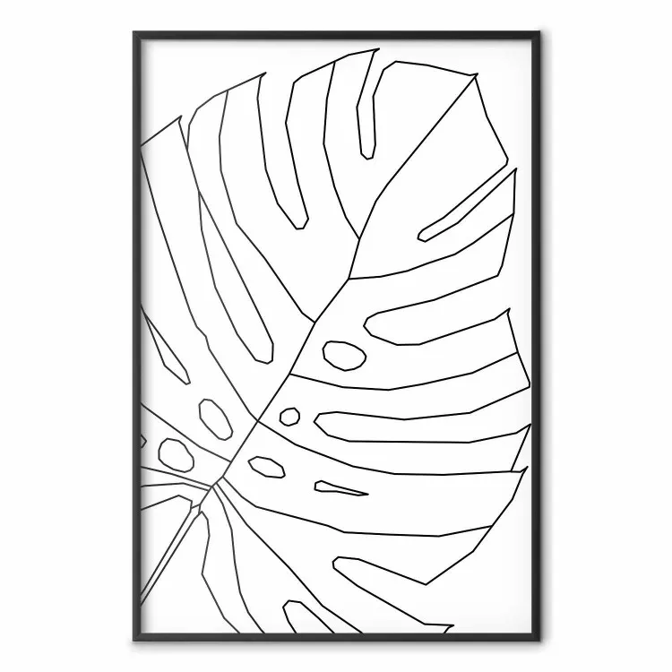 Dibujo de Monstera - line art de hojas de Monstera