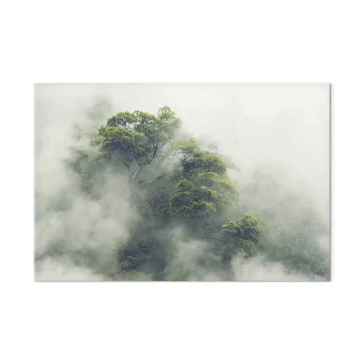 Amazonia brumosa (1 pieza) ancho - paisaje de selva exótica