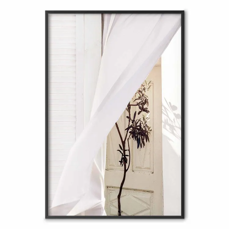 Misterio del viento - composición con plantas en arquitectura blanca