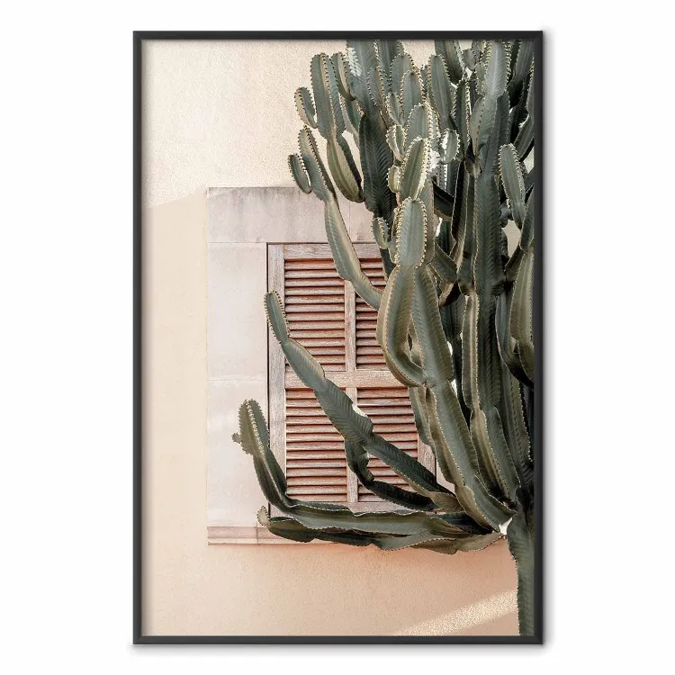 Espinas verdes - composición con planta tropical en arquitectura