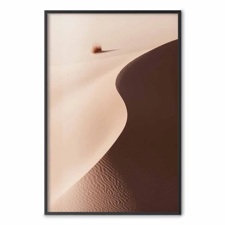 Serpentine: tranquilo paisaje de dunas en el desierto