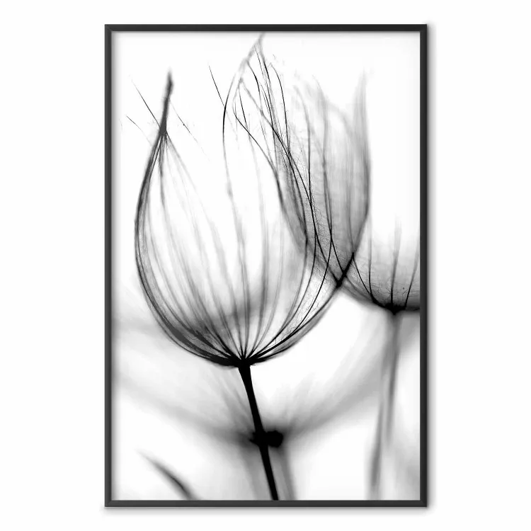 Diente león al viento - flor diente león