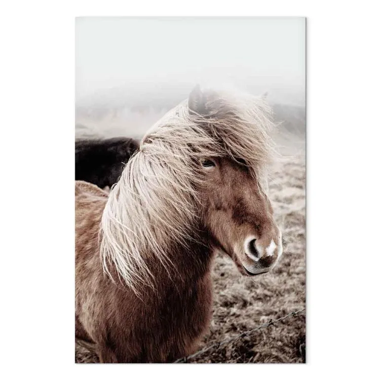 Contra el Viento (unitario) vertical - Fotografía retrato de caballo