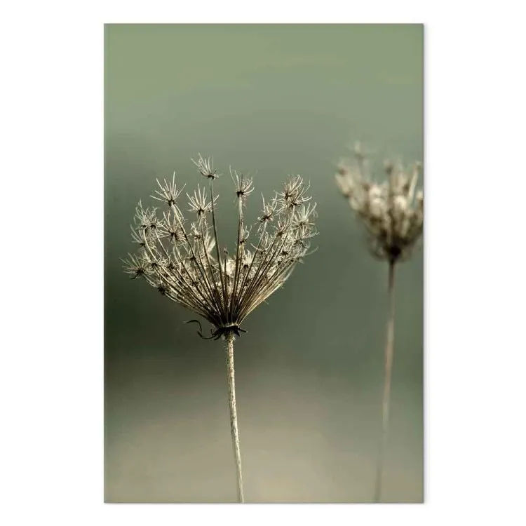 Nostalgia veraniega (1 pieza) vertical - foto de flores