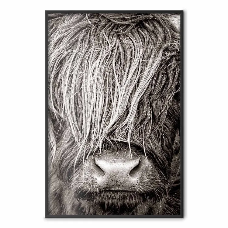 Cara a cara con la naturaleza - retrato de animal en blanco y negro