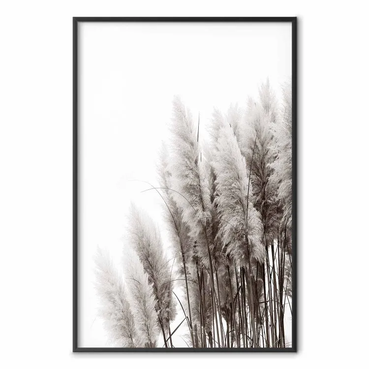 Esperando al viento - paisaje monocromático de plantas