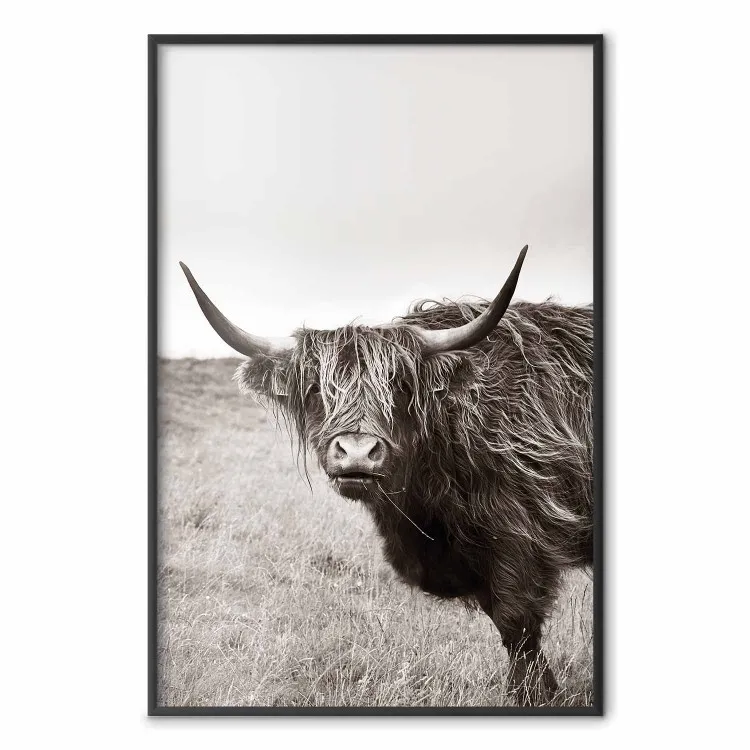 Eterno - animal con largos cabellos sobre campo y cielo claro