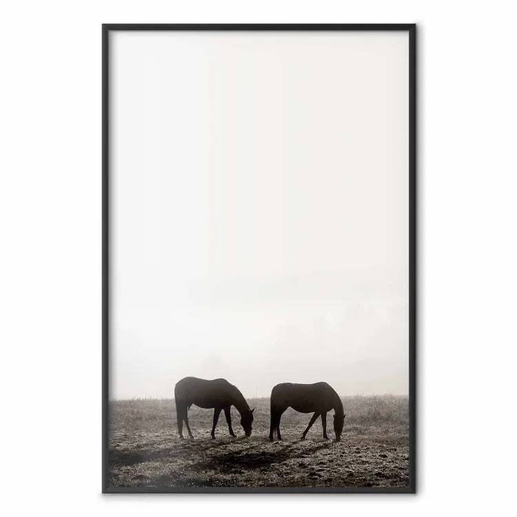 Descanso matutino - caballos en campo con cielo claro
