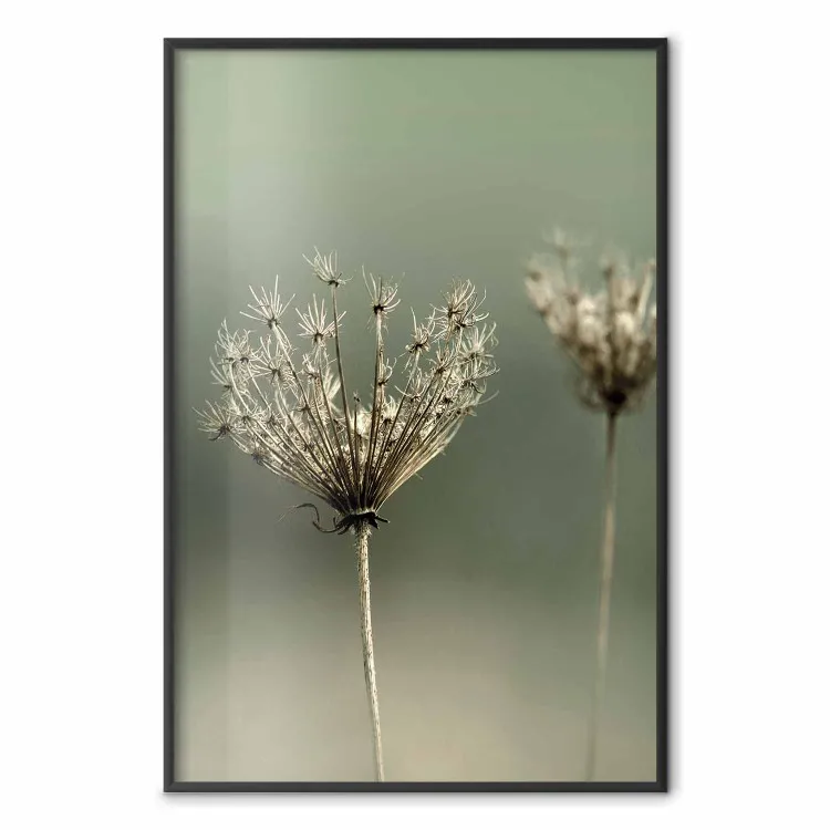 Nostalgia del verano pasado - planta de verano en fondo verde difuso