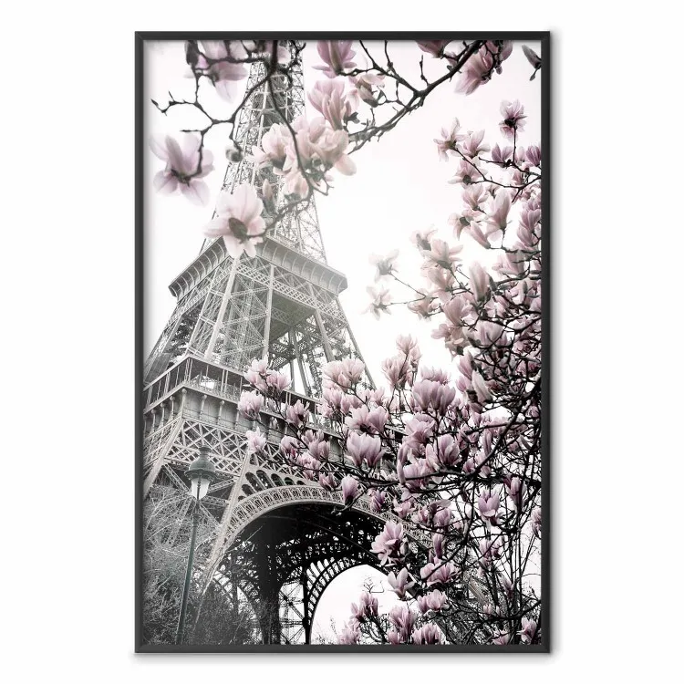 Magnolias al sol de París - flores rosas con Torre Eiffel