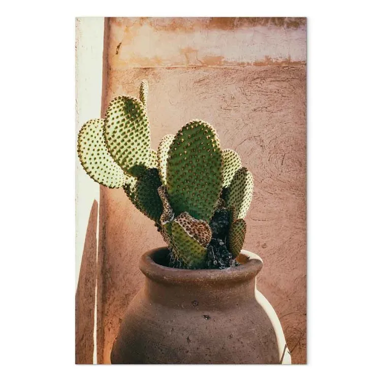 Cactus en maceta (1 pieza) vertical - planta verde en Marruecos