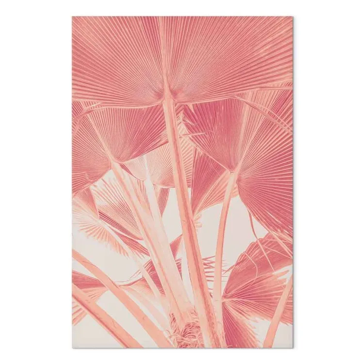Palmera rosa - foto de hojas de palmera en color rosa