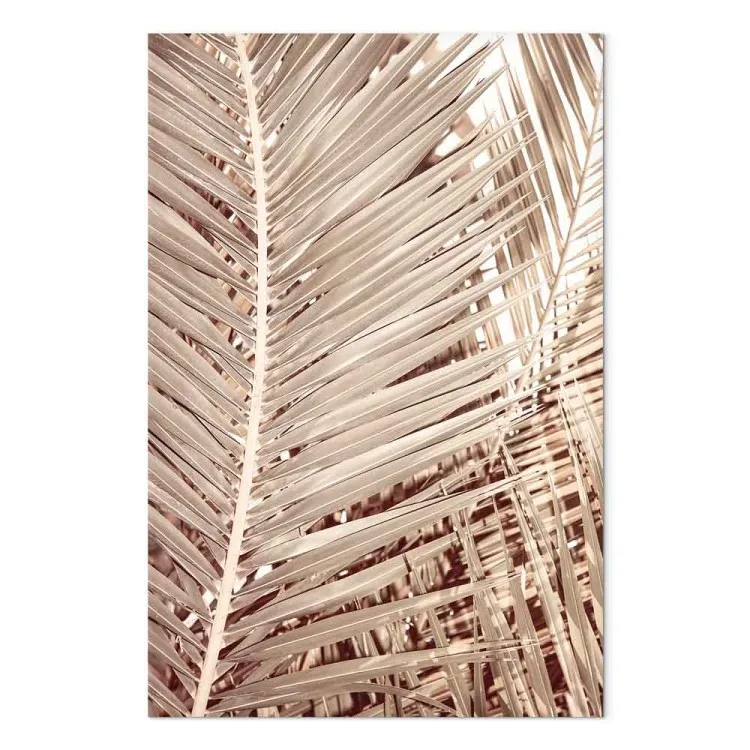 Palmera seca - hojas de palmera secas y nítidas sobre fondo blanco