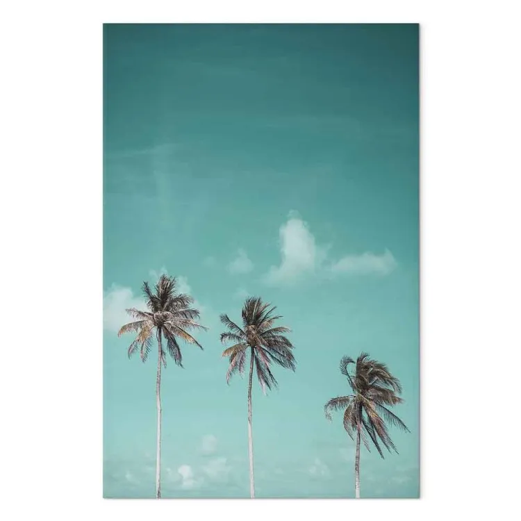 Tres palmeras - imagen de tres árboles contra el cielo azul