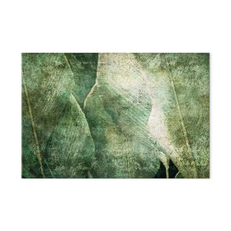 Hojas grandes - imagen frotada de hojas de una planta exótica