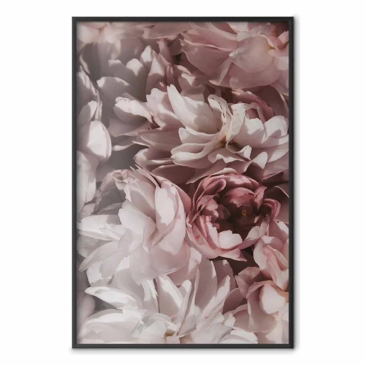 Verano jardín - flores rojas en composición aterciopelada