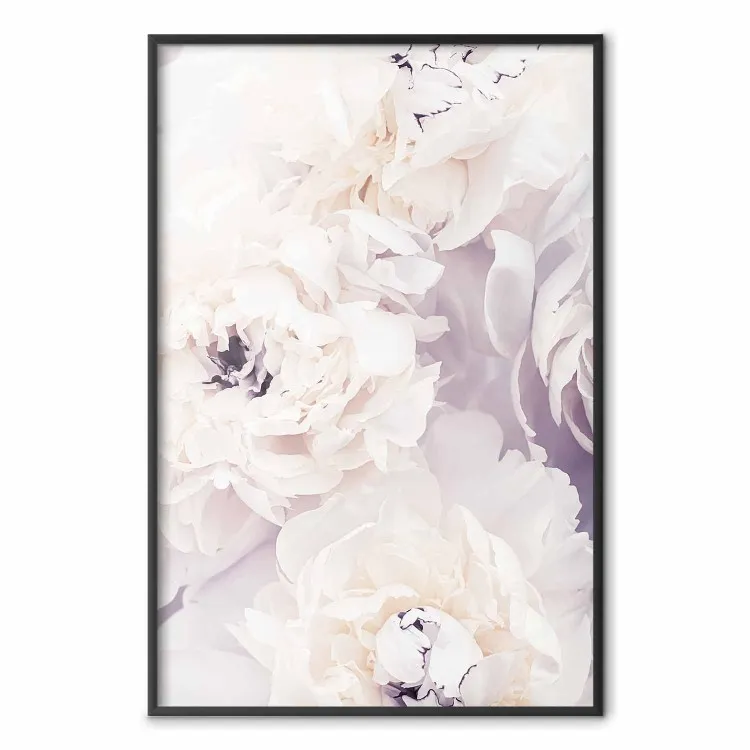 Magnolias de vainilla - composición floral con delicados tonos morados