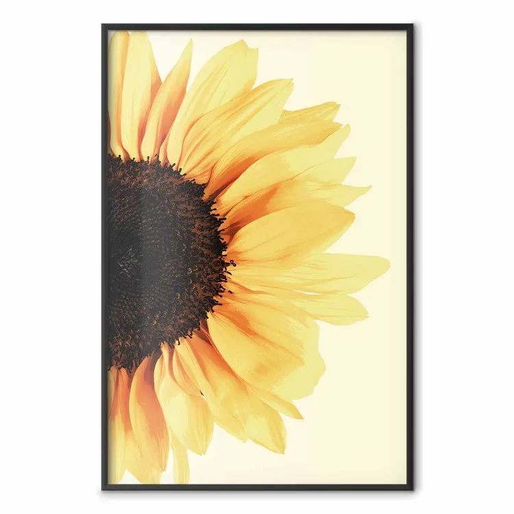 Closer to the sun - girasol sobre fondo amarillo