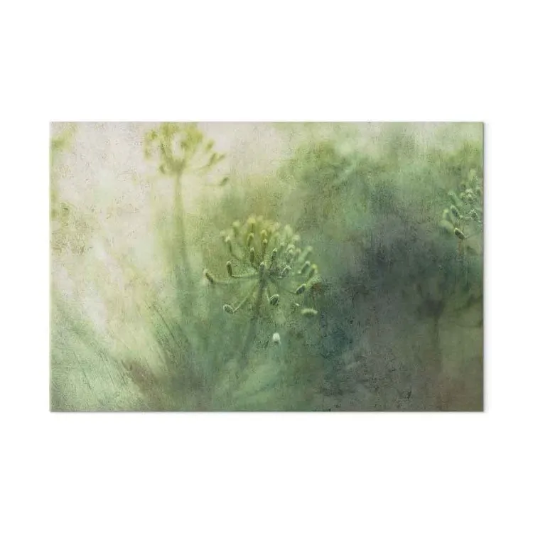 Flores de mayo en la niebla - gráfico con plantas silvestres verdes