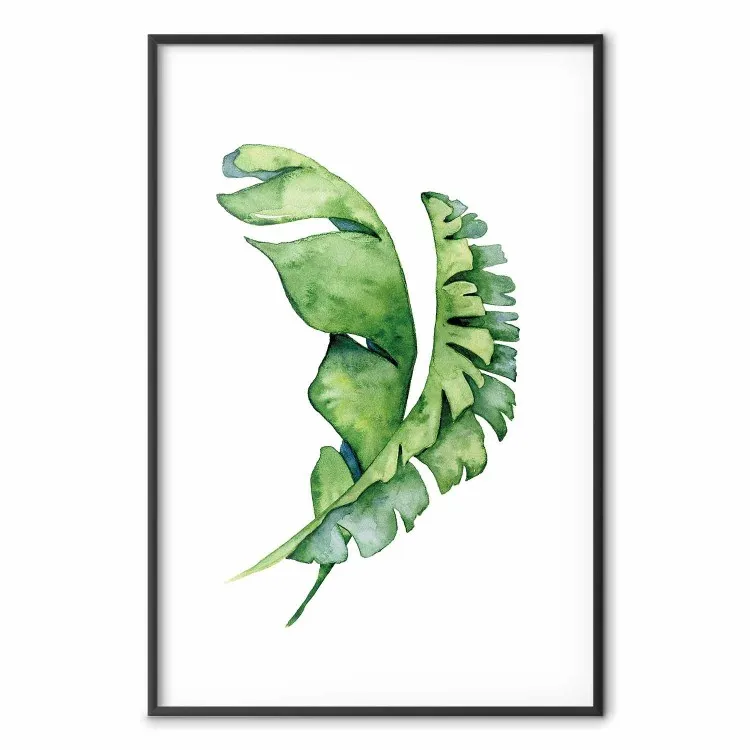 Hojas entrelazadas - acuarela plantas
