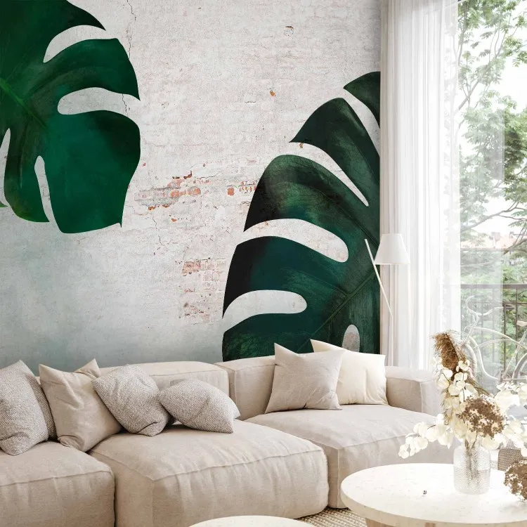 Hojas exóticas - una monstera sobre el fondo de una pared de ladrillos