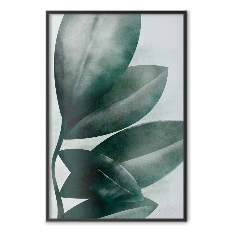 Hojas de olivo - composición vegetal de hojas verdes sobre claro