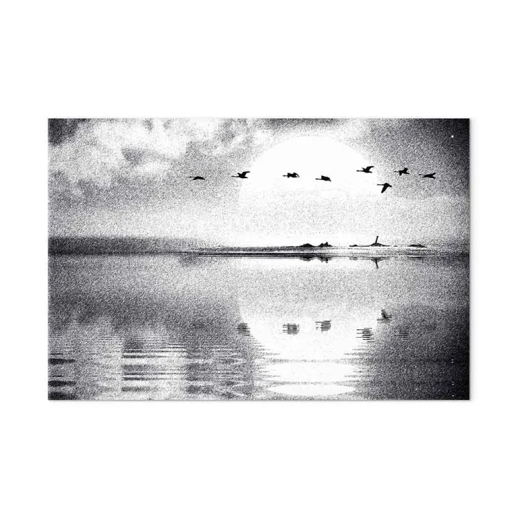 Vuelo pájaros lago (1 parte) - blanco y negro