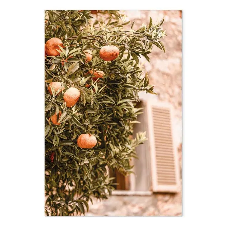 Frutas urbanas (1 parte) - árbol de mandarina sobre fondo de edificio