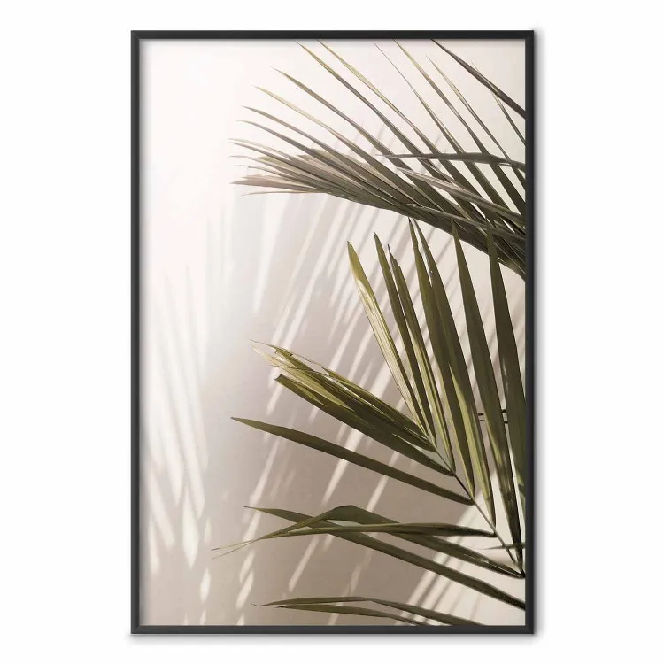 Hojas de palmera - vista soleada de un juego de sombras y luces