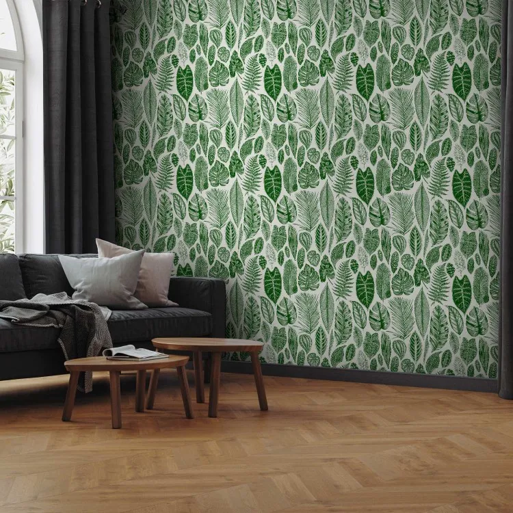 Naturaleza verde - varios especies y tamaños de hojas en fondo blanco