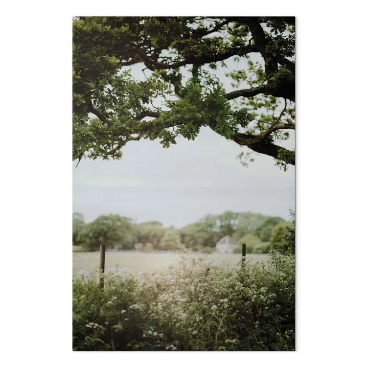 The Sun on the Meadow - Summer Landscape of Dense Vegetation
