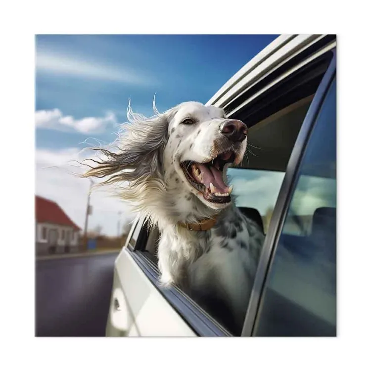AI Dog English Setter - Animal Catching Air Rush While Traveling by Car - Square