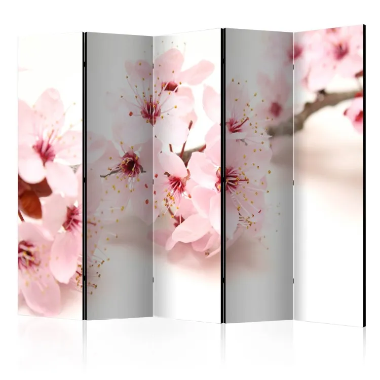 Cherry Blossom II - planta rosa sobre fondo blanco en tema oriental